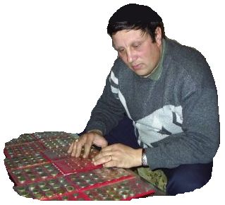 Example pic